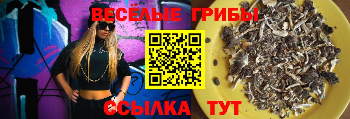 Псилоцибиновые грибы прущие грибы Гулькевичи