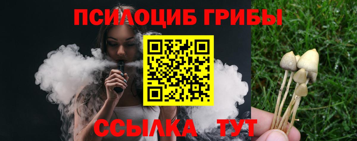 где купить наркоту  Галлюциногенные грибы Cubensis  Гулькевичи  Вход с VPN  Галлюциногенные грибы Magic Shrooms 
